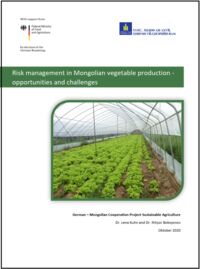 Analyse und Bewertung von Risiken im mongolischen Gemüsesektor